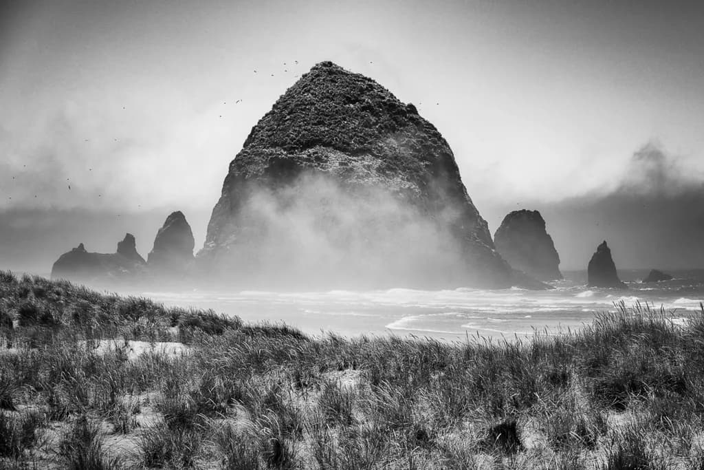 Misty Coastrock