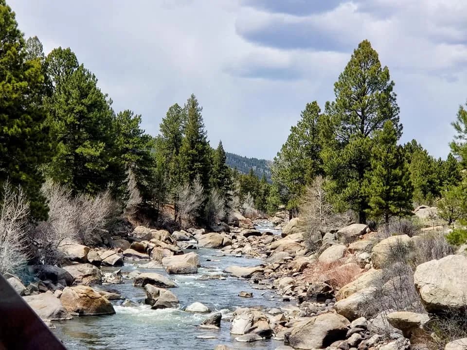 Serenity by the River: A Tranquil Landscape of Trees and Rocks