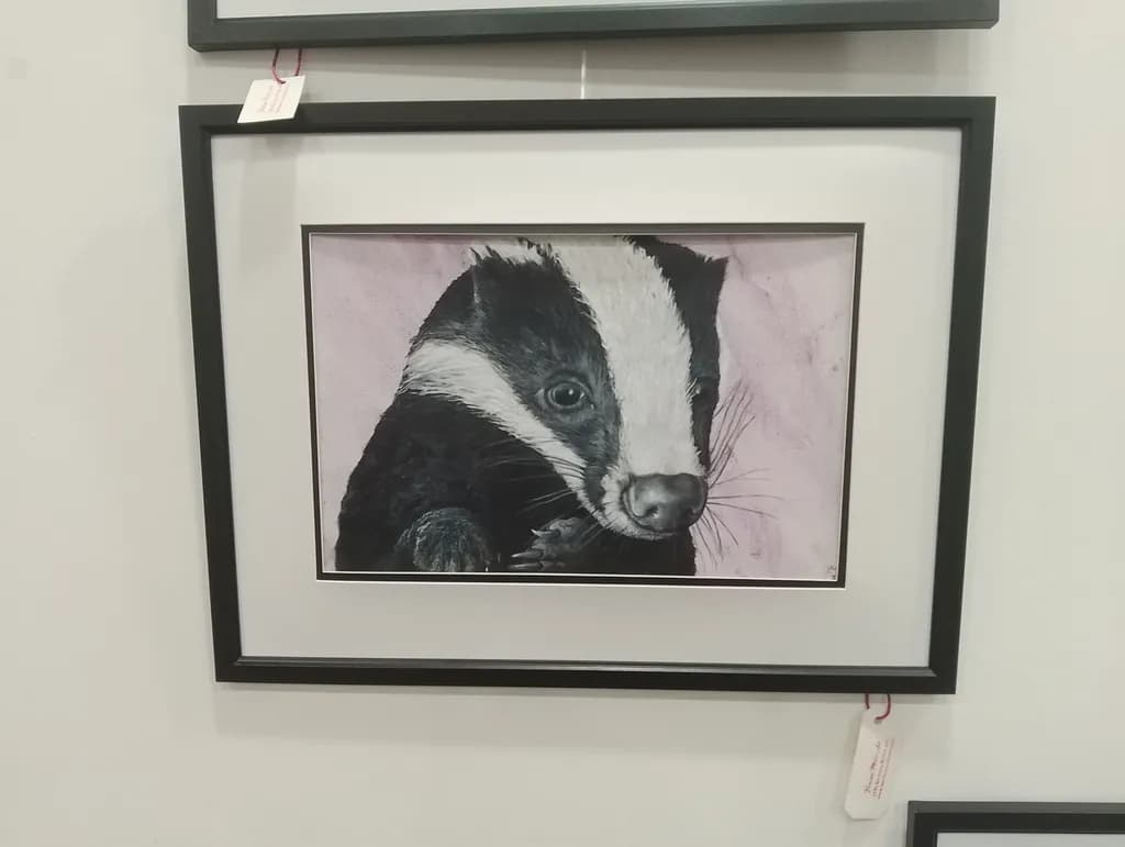 Inquisitive Badger
