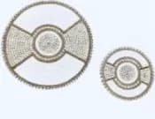 Ethereal Harmony: A Geometric Dance of Circular Patterns