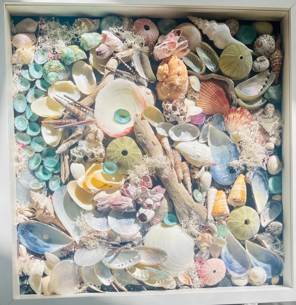 Whispers of the Shore: A Coastal Collection of Shells and Driftwood