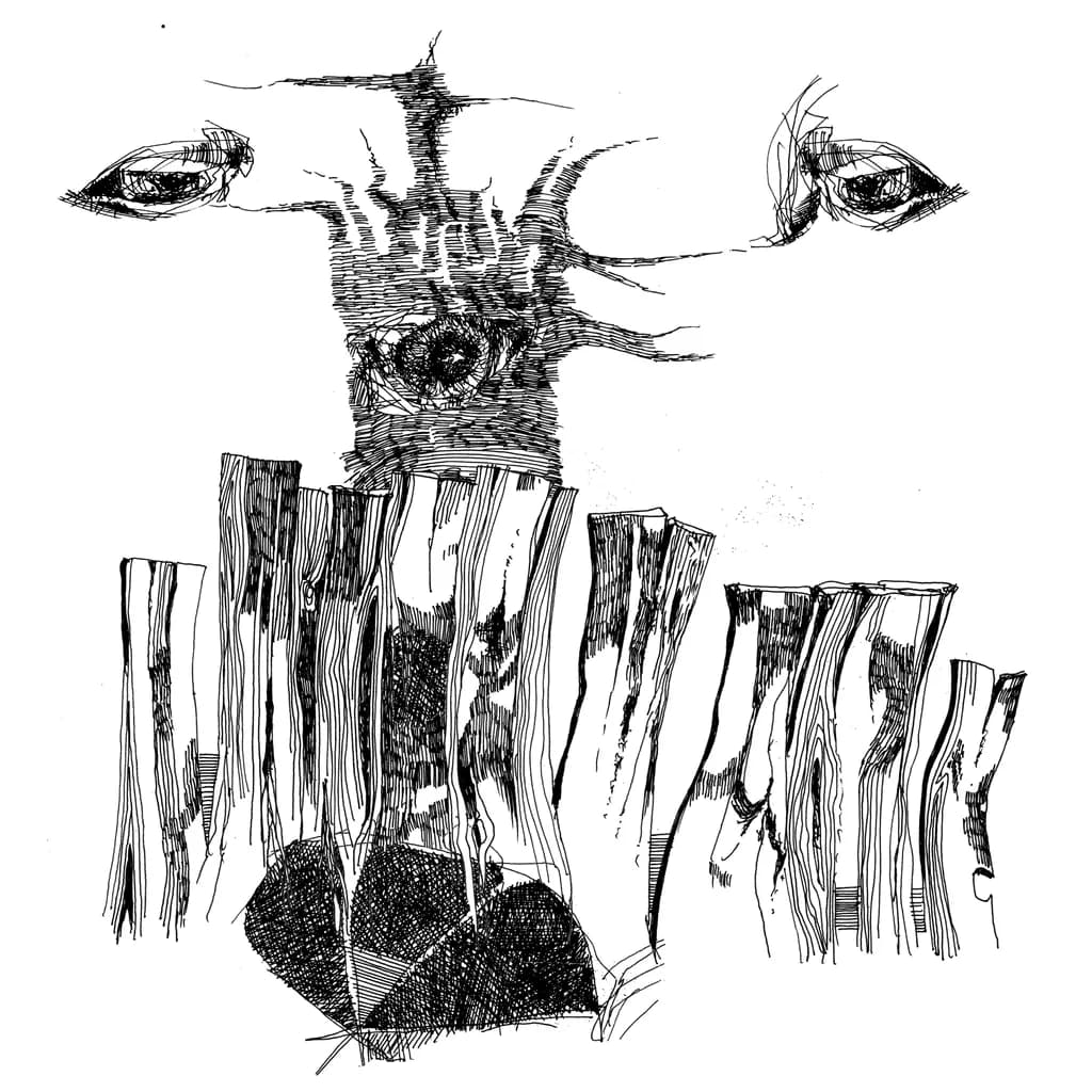 Fragmented Gaze