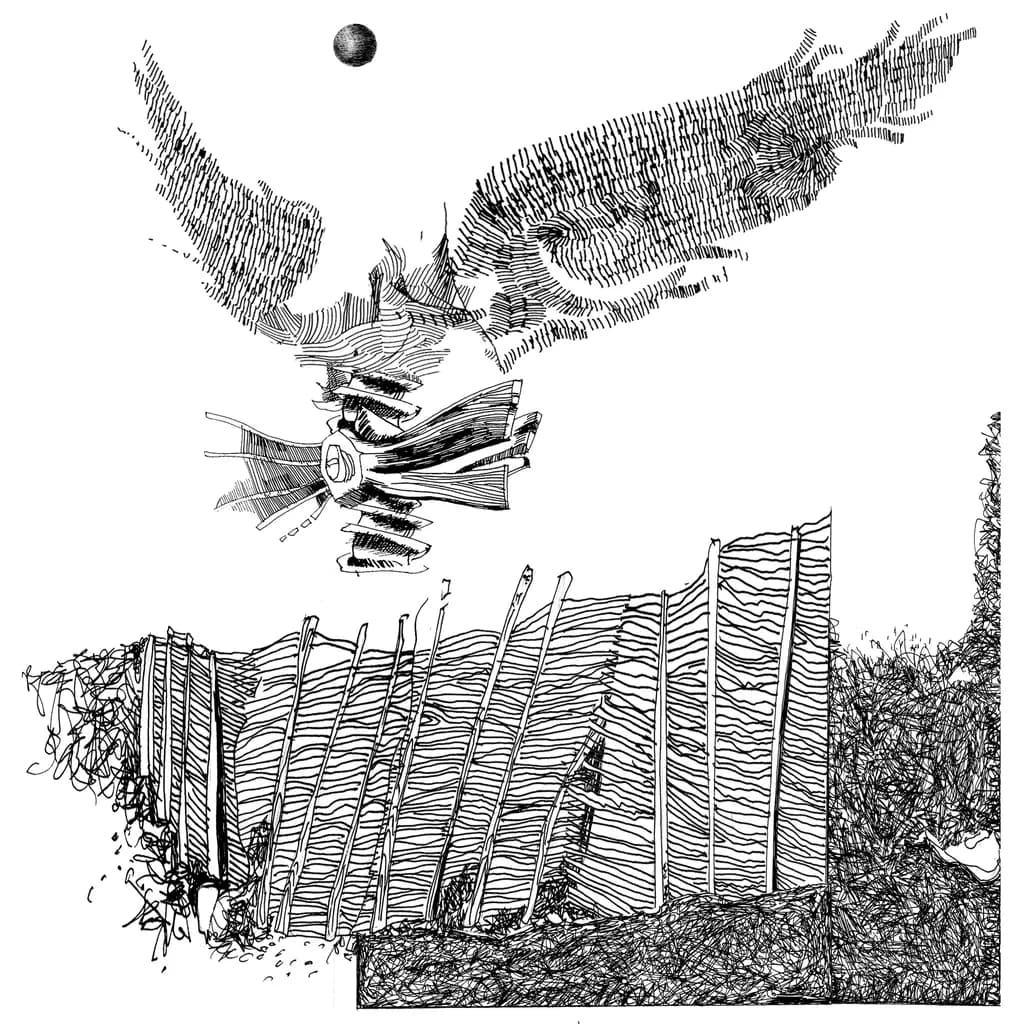 The Structure