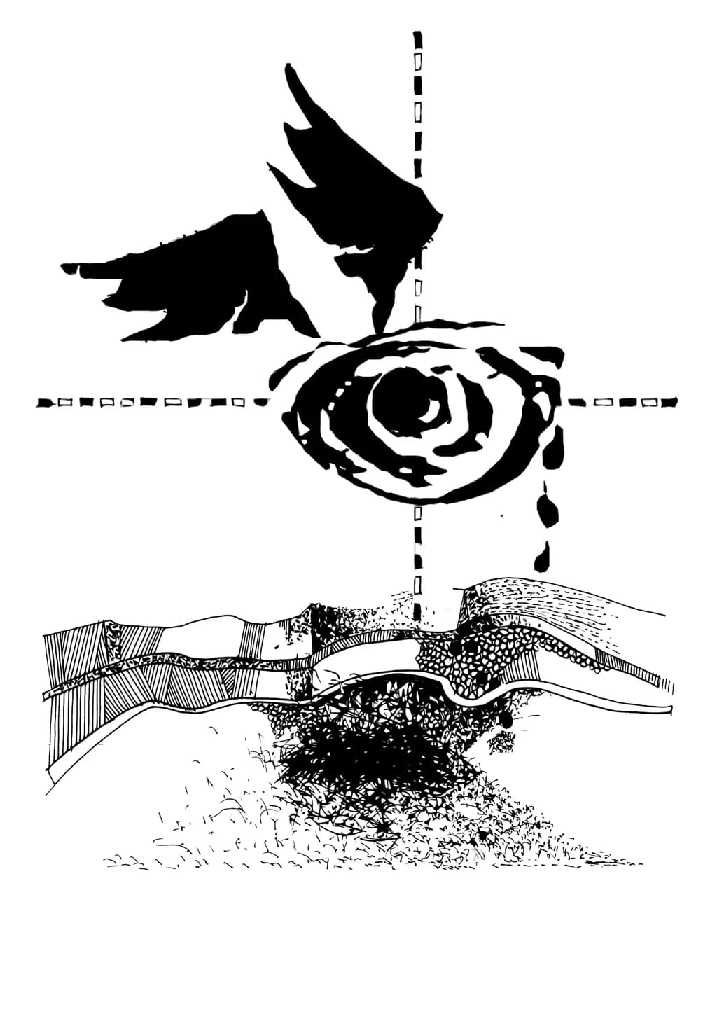 Eye Fragment