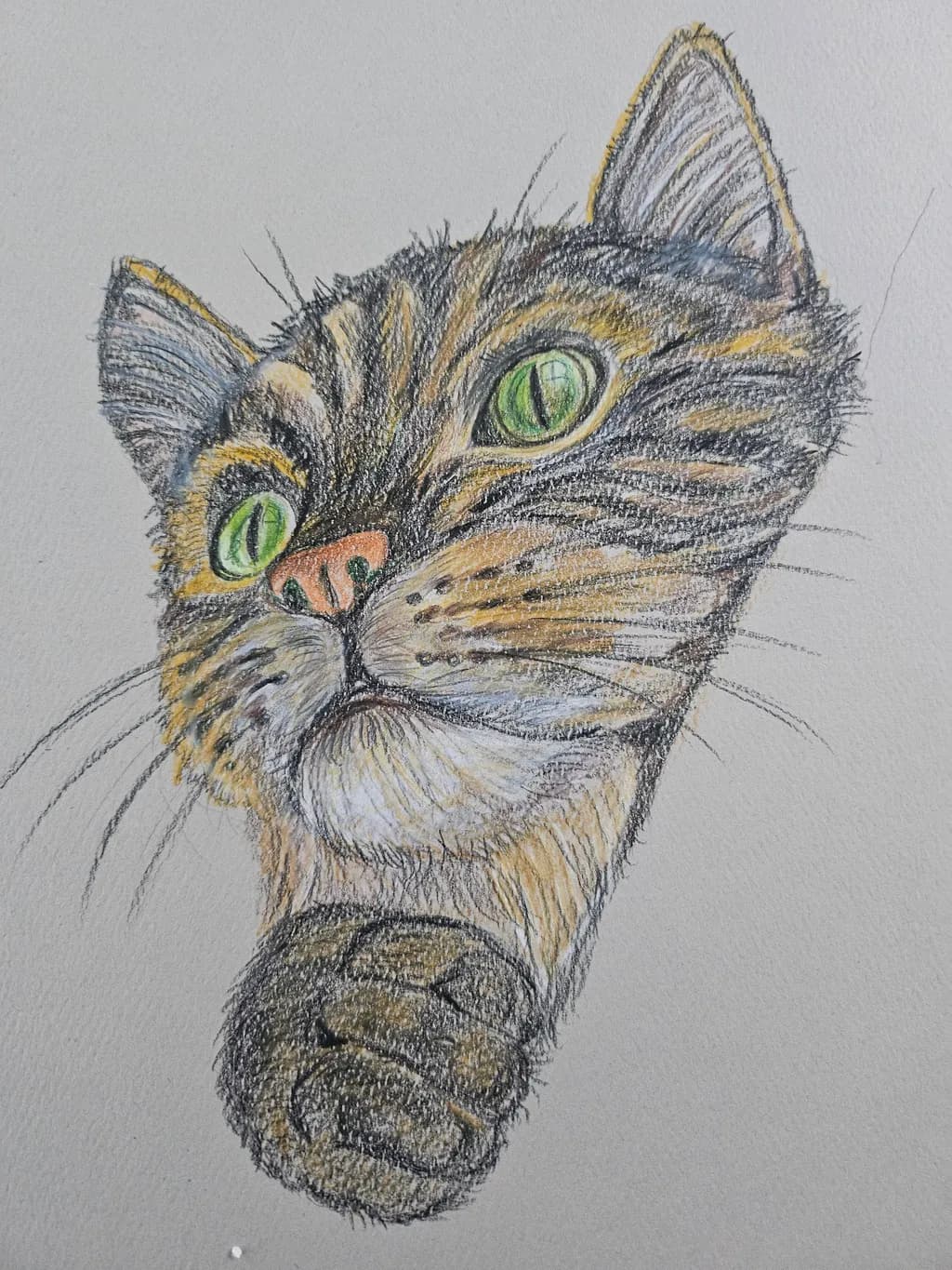 Green-Eyed Cat Portrait