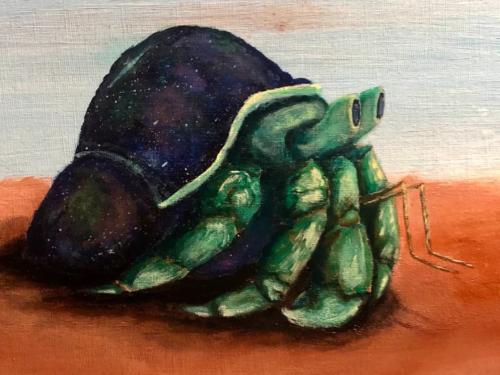 Desert Hermit