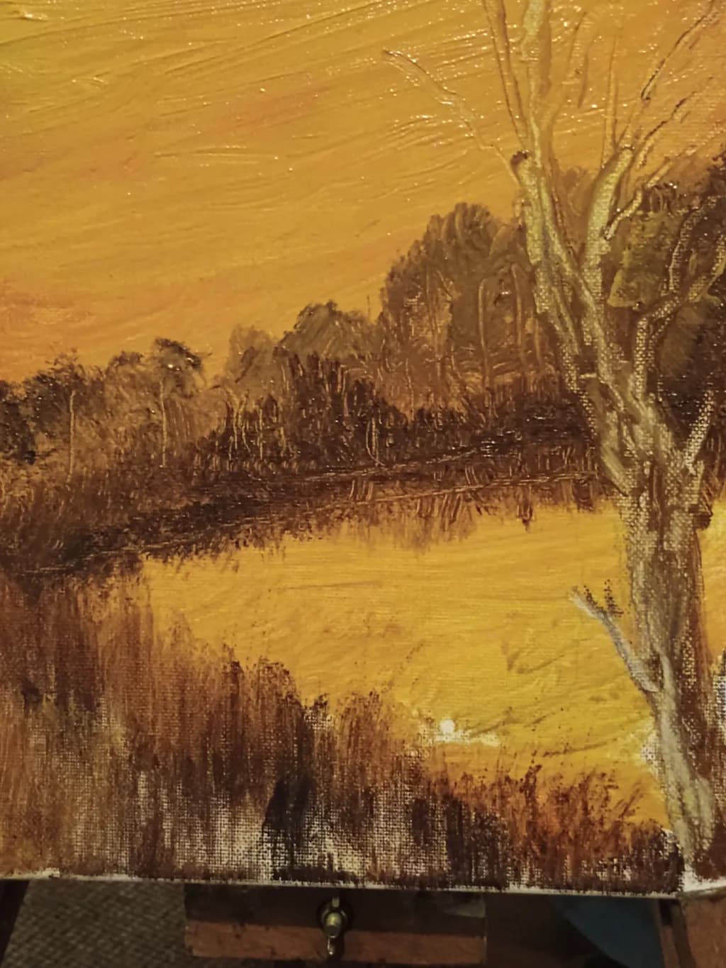 Golden Reflections: A Tranquil Sunset Over Water and Trees