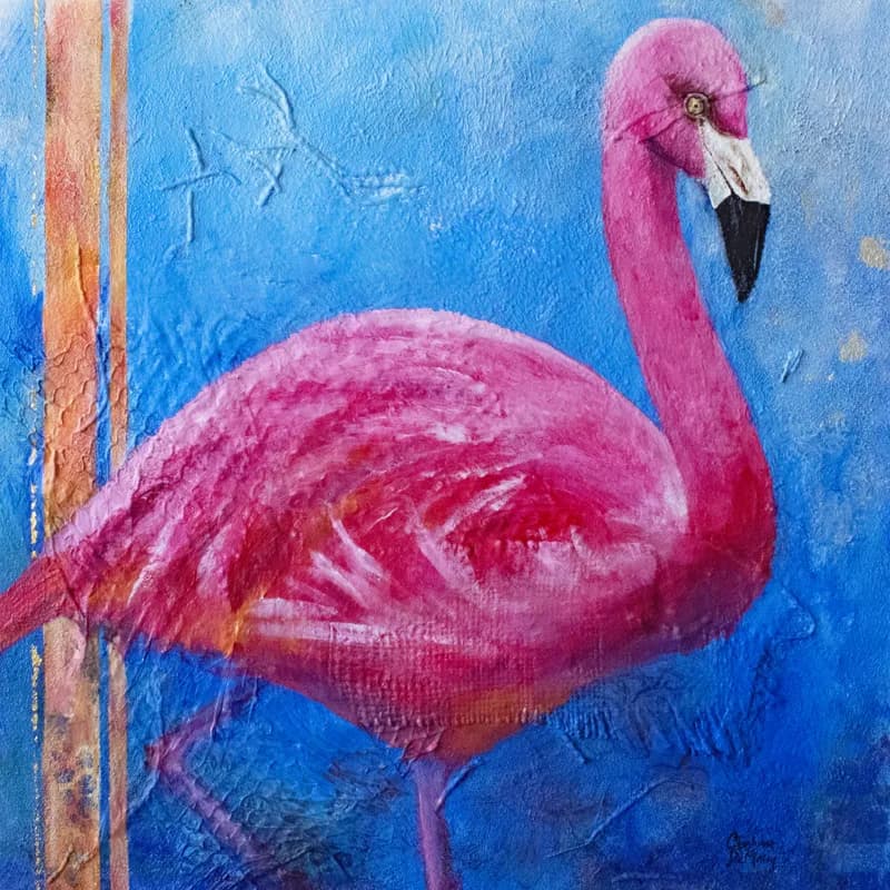 Pink Ladies of Florida: American Flamingo