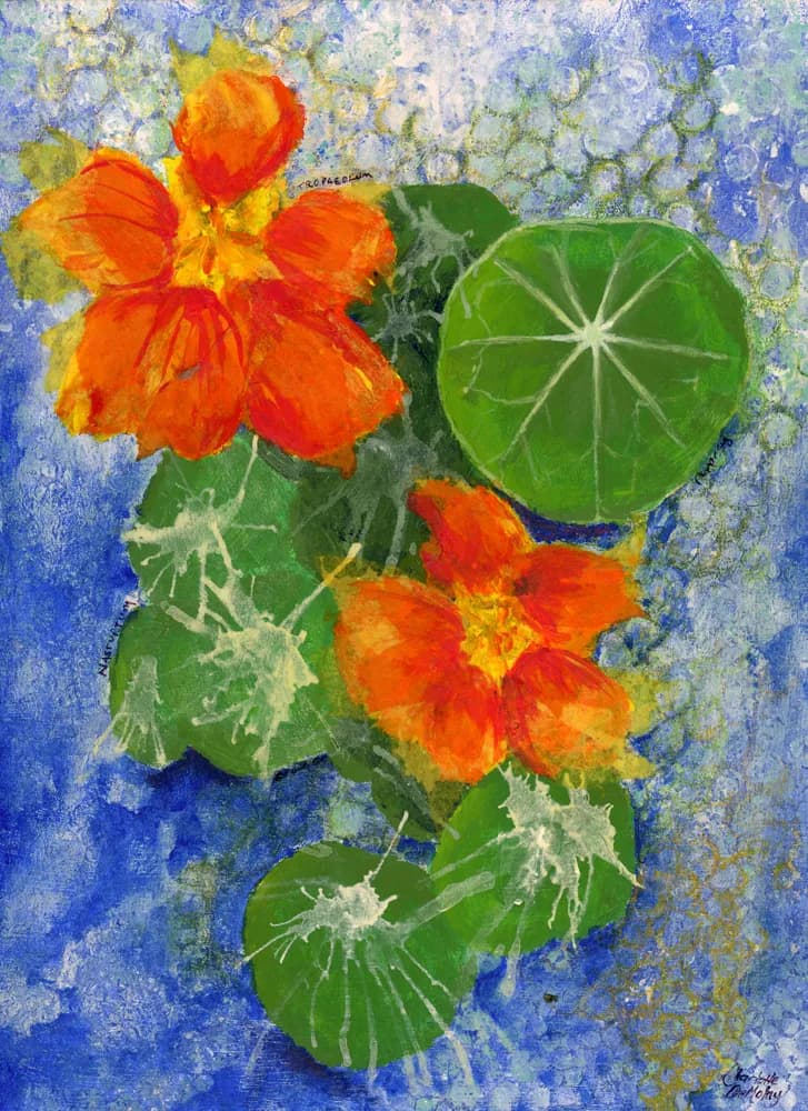 Nasturtium