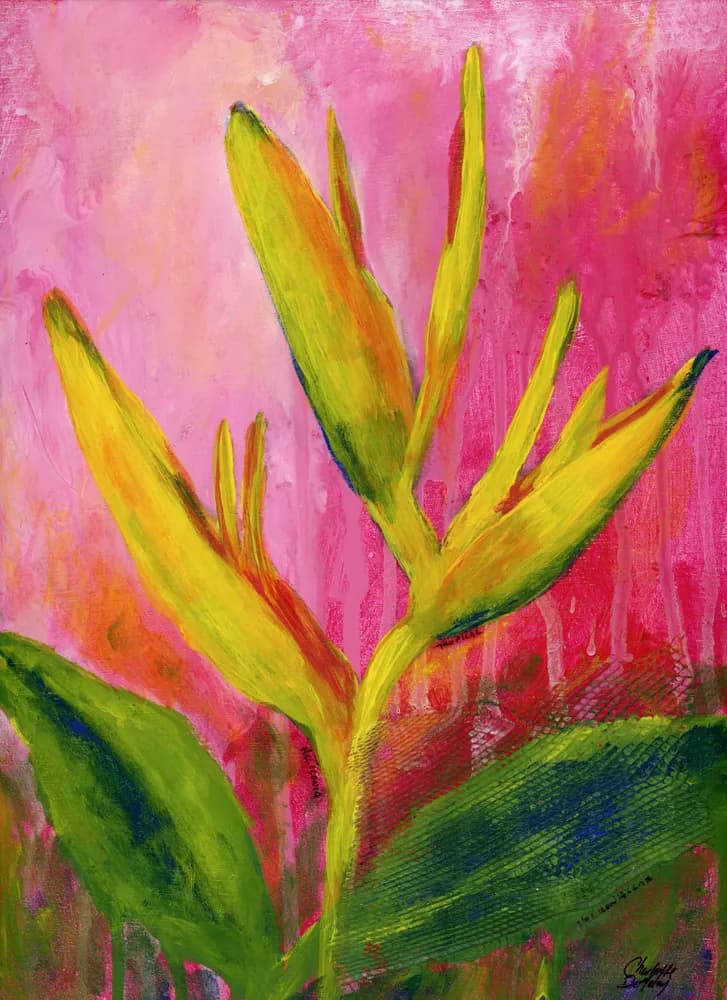 Heliconia