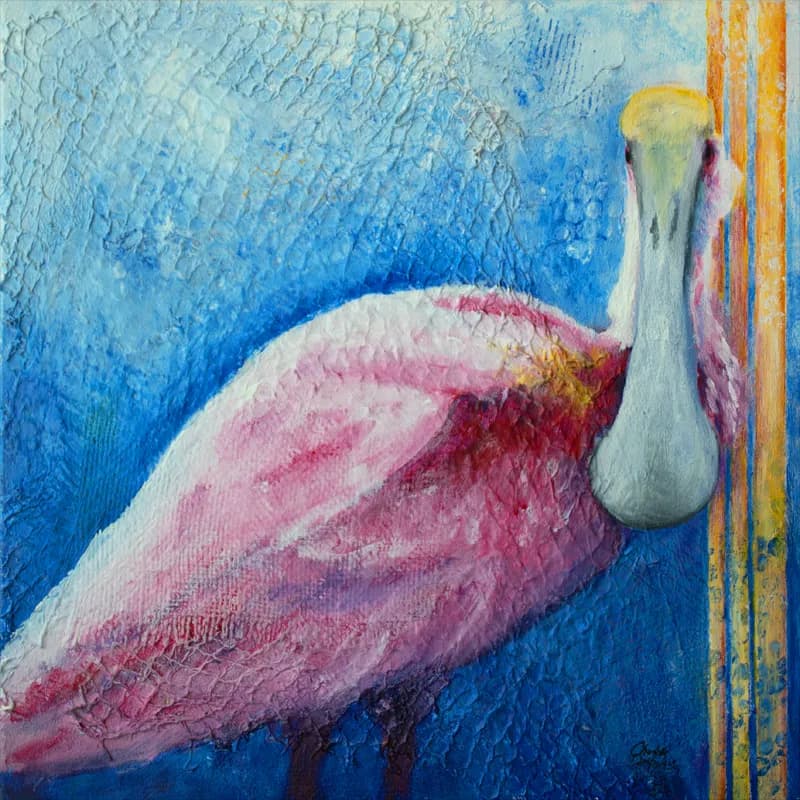Pink Ladies of Florida: Roseate Spoonbill