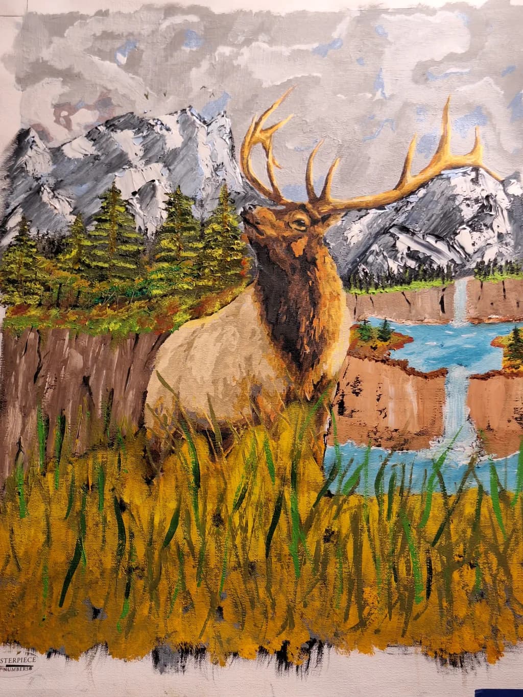 Majestic Elk in Nature