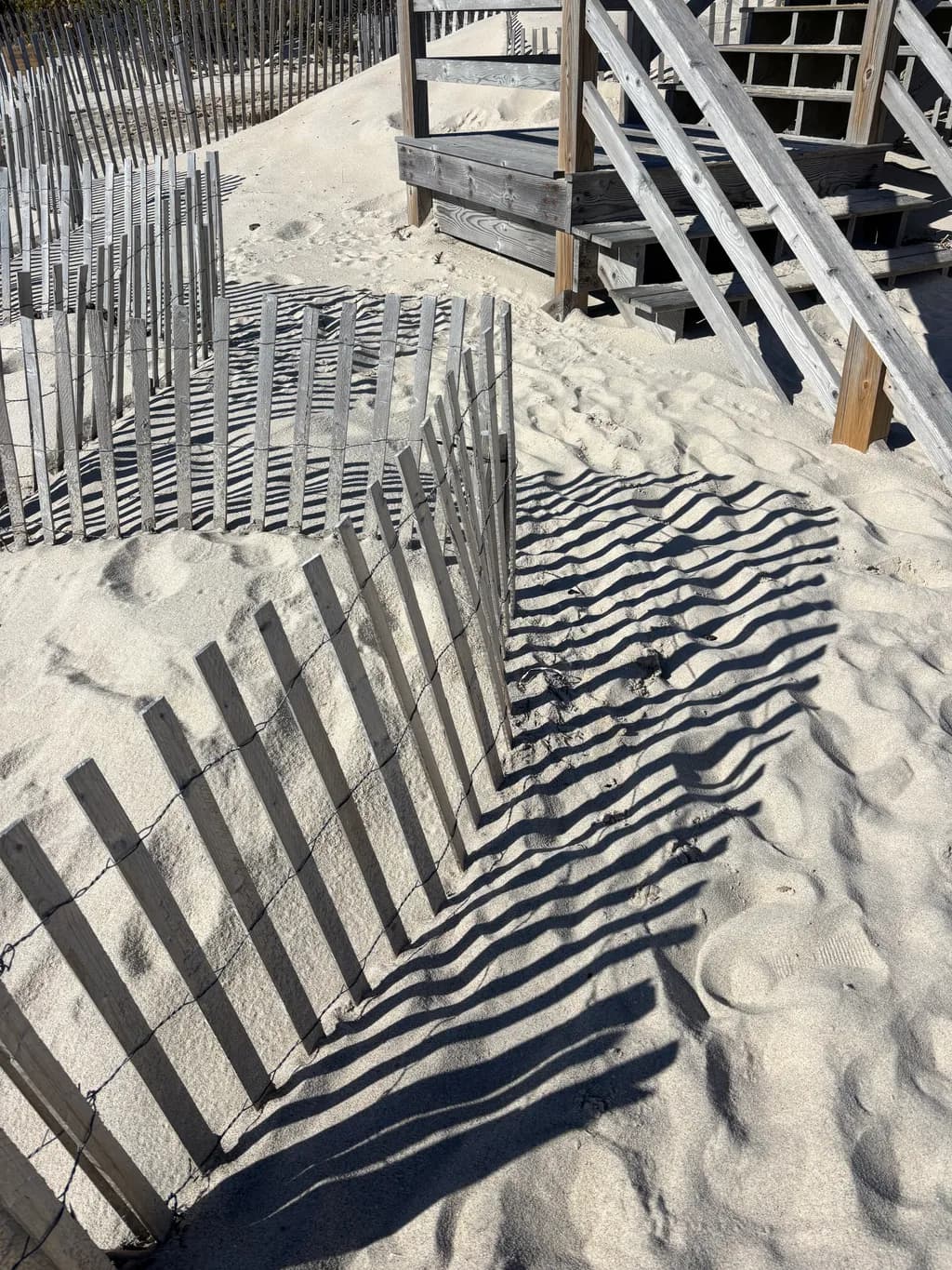 Shadowed Fences