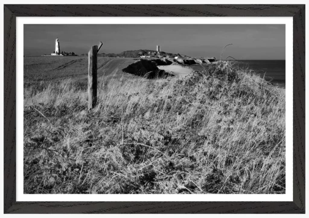Coastal Sentinels