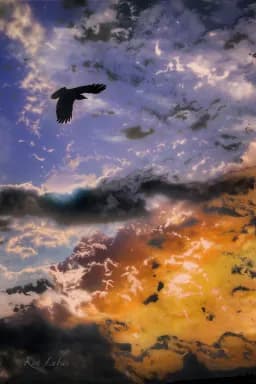 DAWN OF NEW DAY