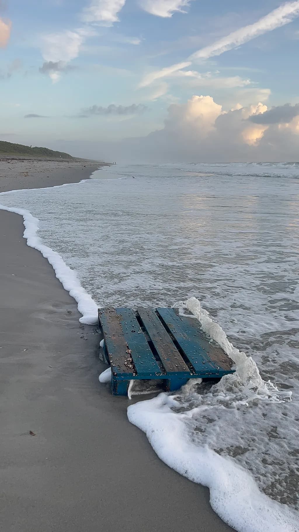 Tide's Embrace