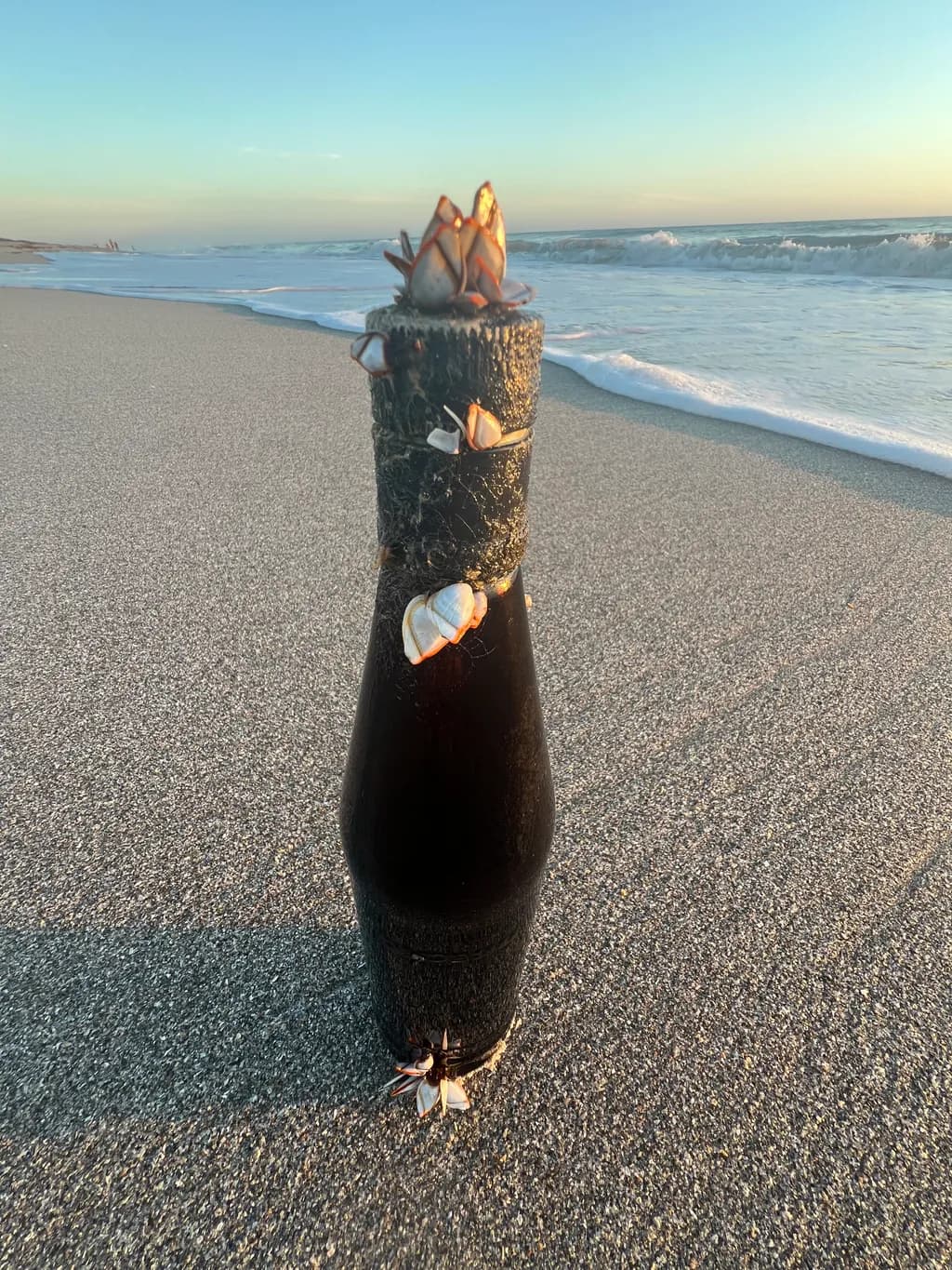 Ocean's Message