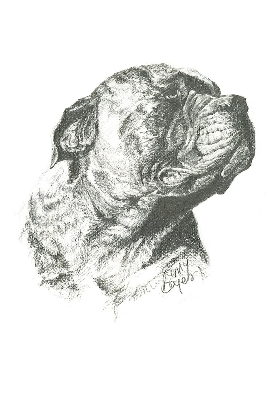 Majestic Canine Portrait: A Detailed Study of Strength and Grace
