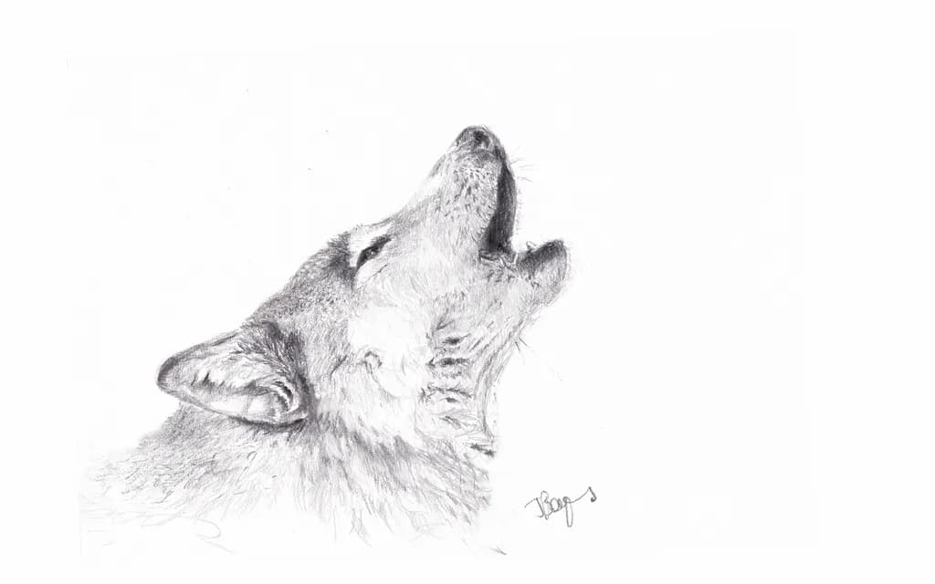 Howling Spirit: A Captivating Wolf Portrait in Pencil Sketch