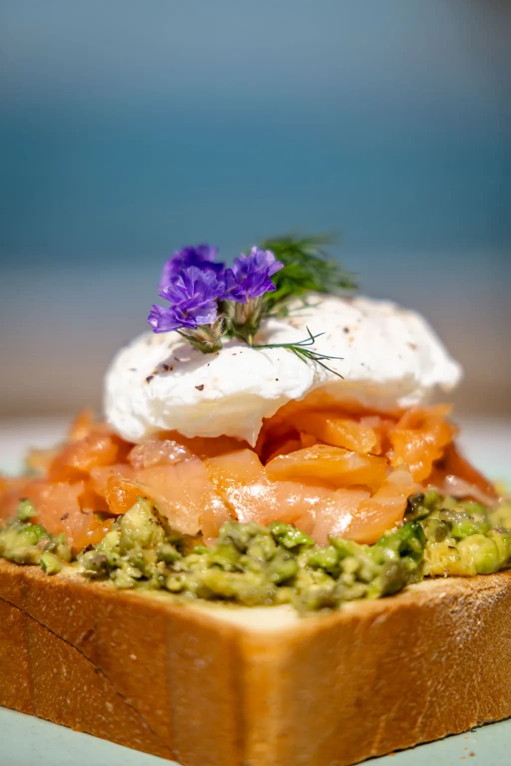 Salmon Avocado Toast