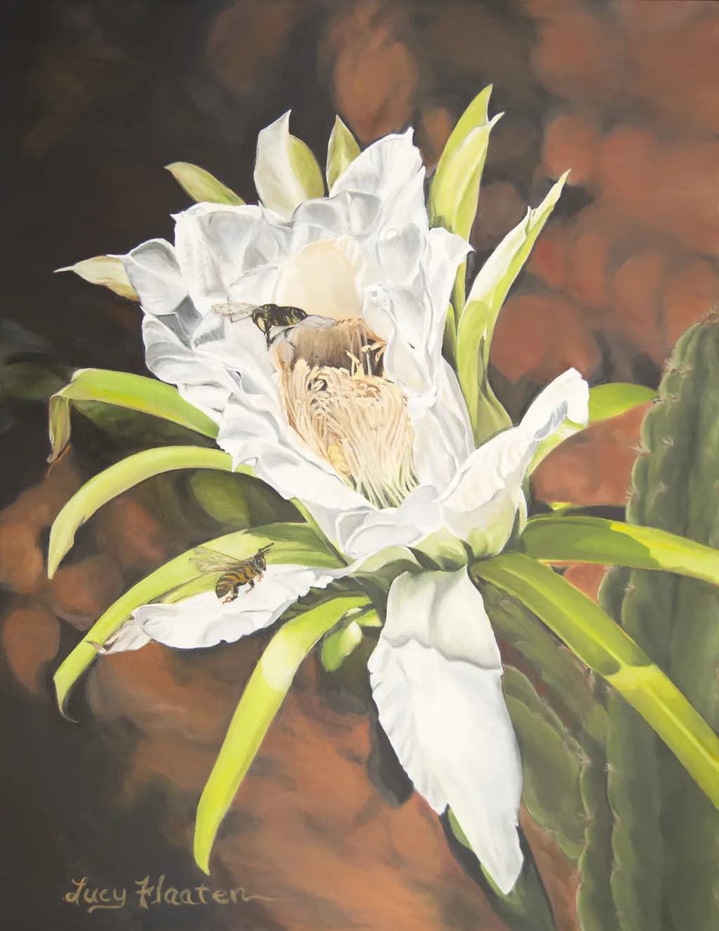 Night Fragrance: Stunning One Night Symphony, Cereus Cactus Flower with Bees