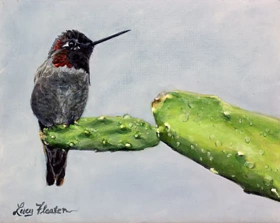 Annas Hummingbird Drinking Raindrops  (Original Sold)