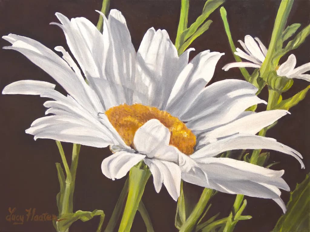Whispers of Nature: A Radiant White Daisy in Bloom