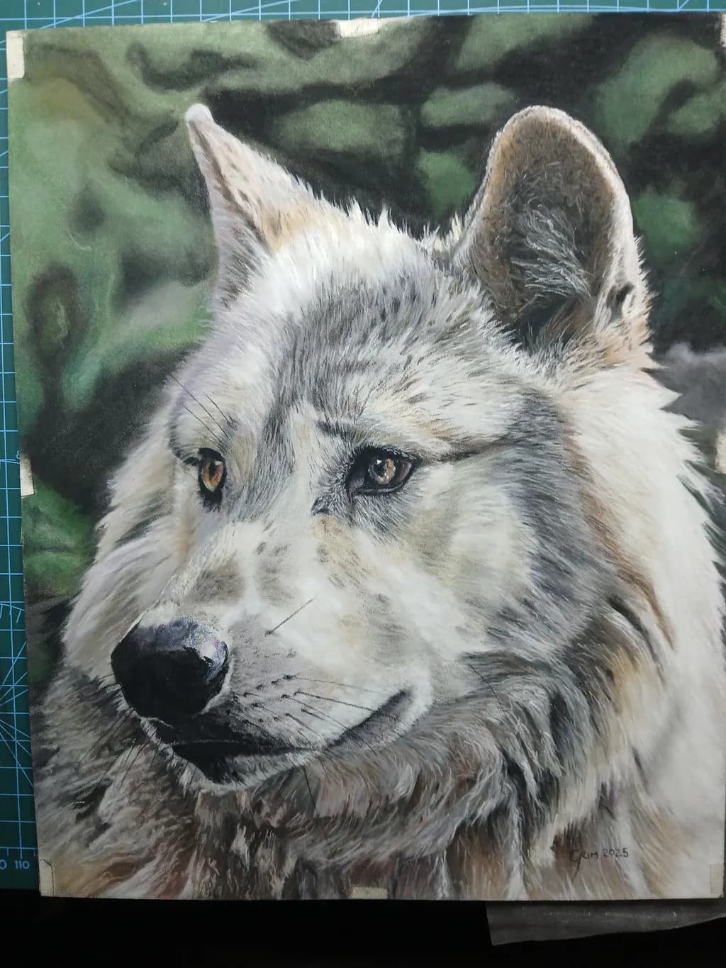 Contemplative Wolf