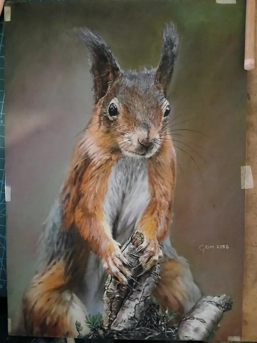 Red Squirrel Study