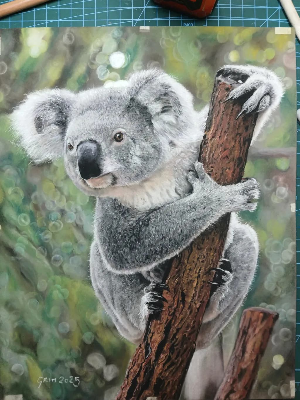 Tree Hugger