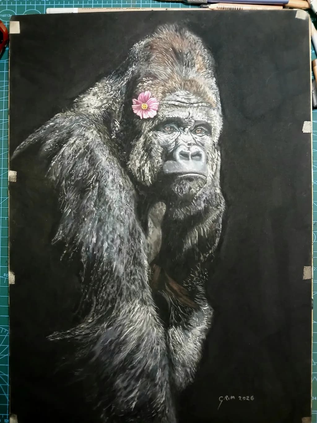 Gorilla Grace
