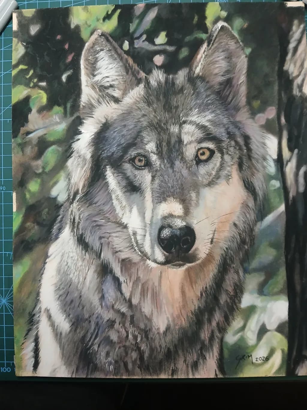 Silent Watcher