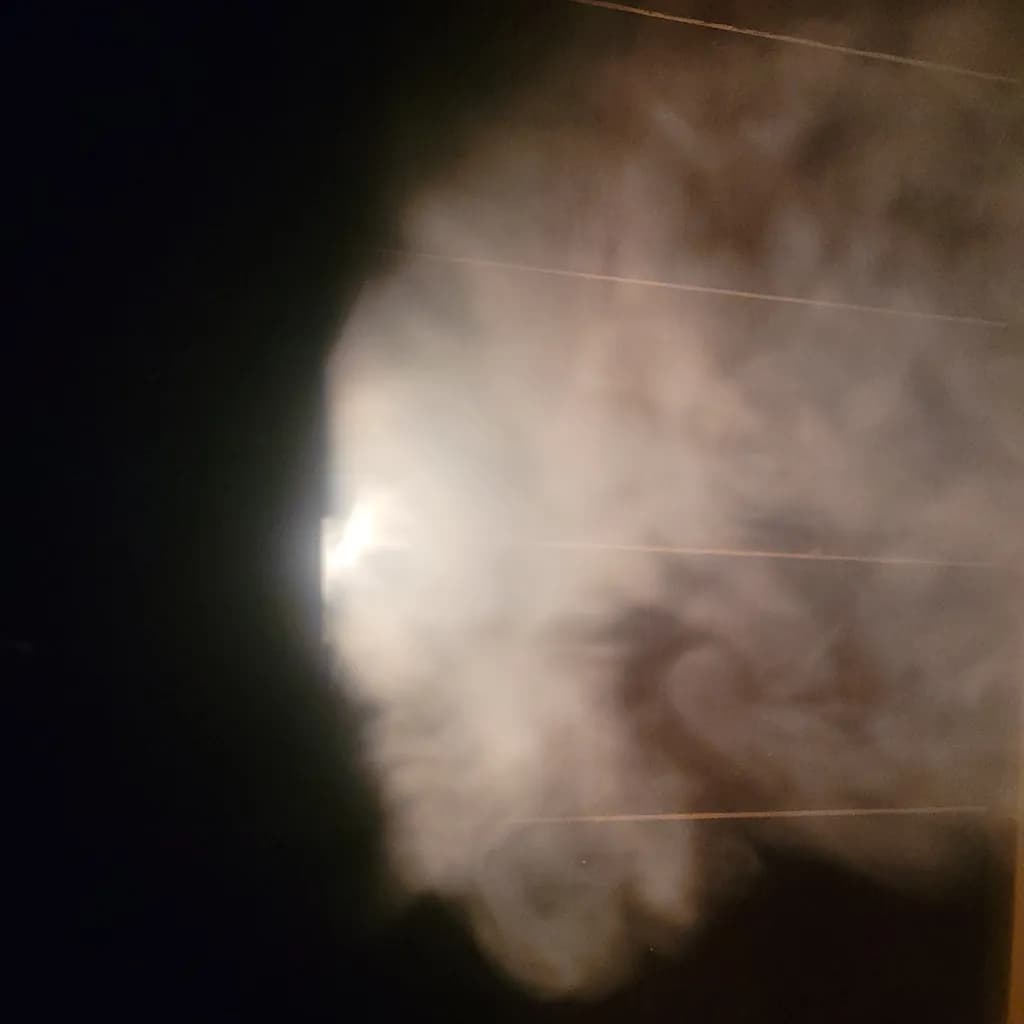 Veil of Fog