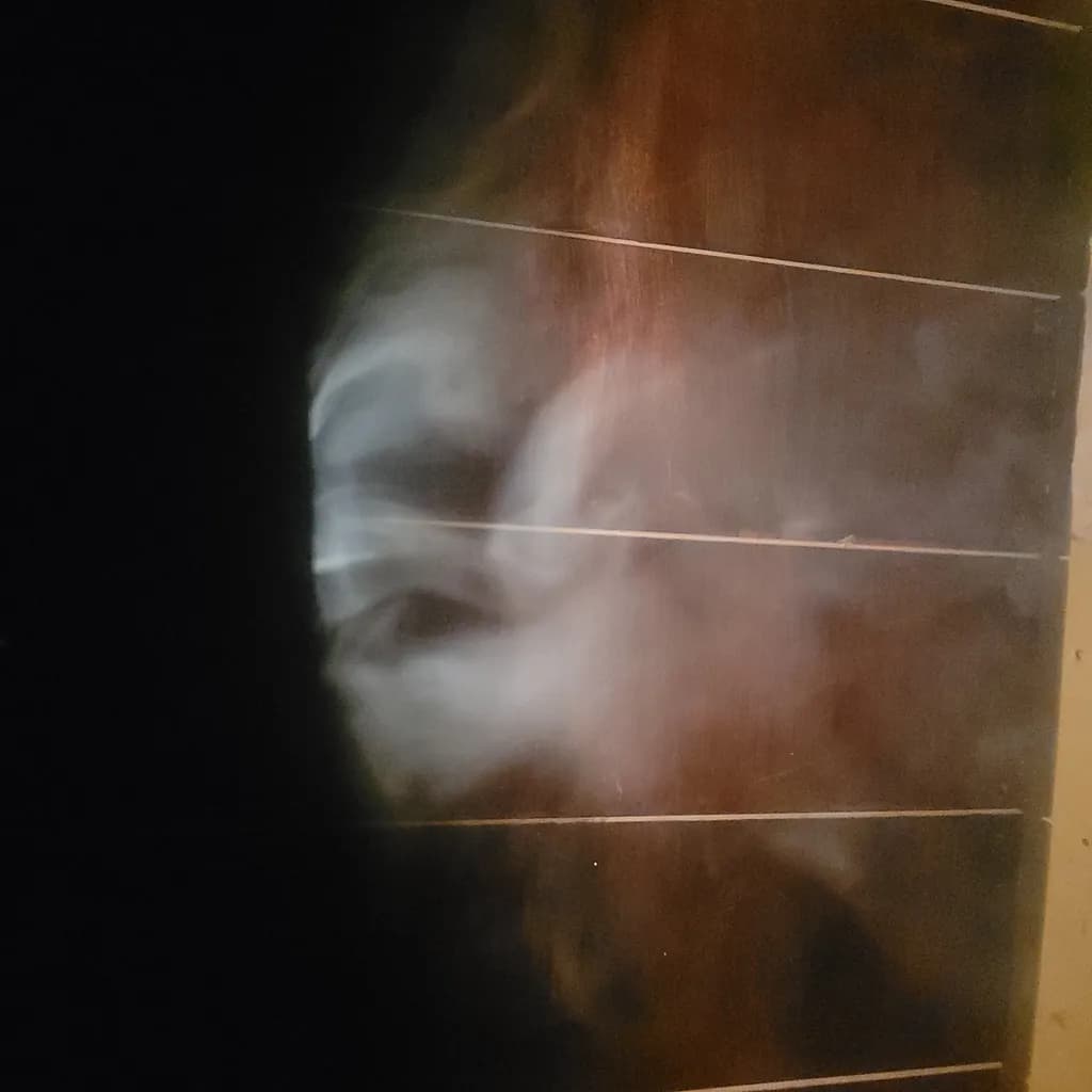 Veil of Shadows