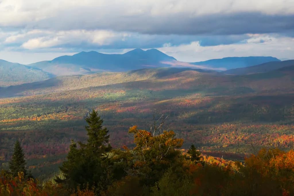 Autumn Horizon
