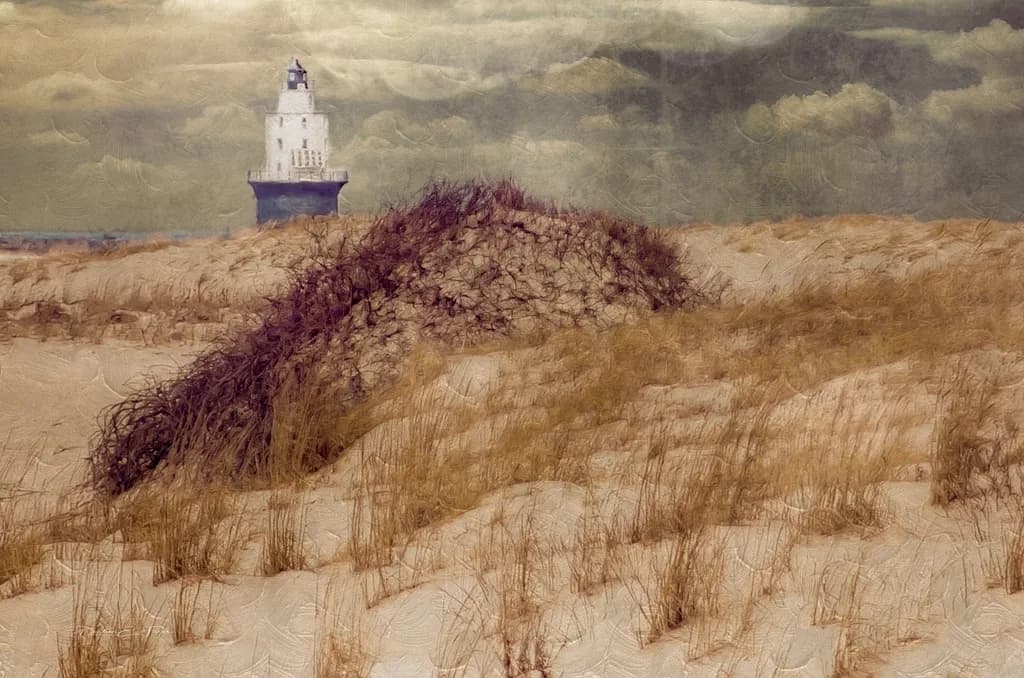 Cape Henlopen Dunes