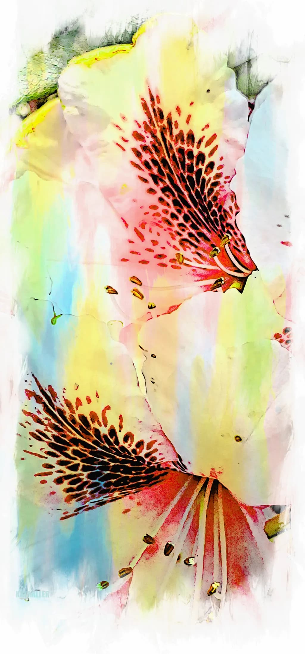 Spotted Petals