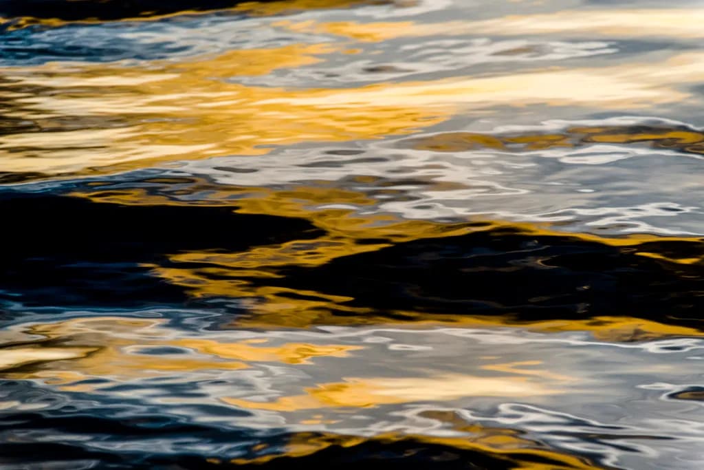 Golden Reflections