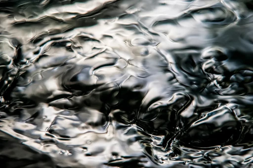 Reflections in Motion