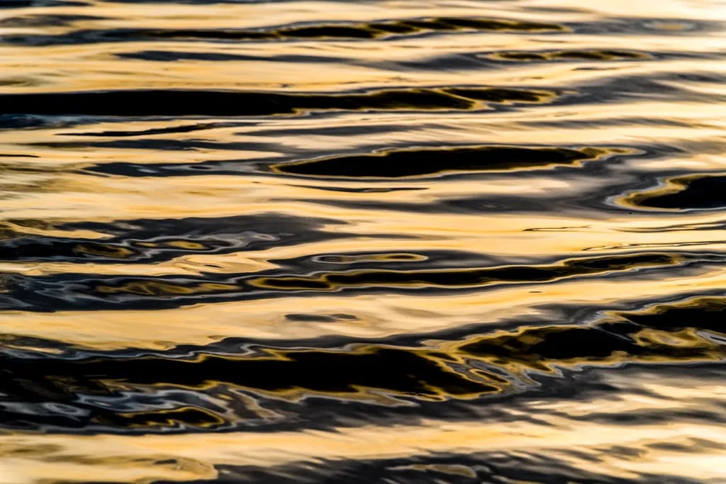 Golden Reflections