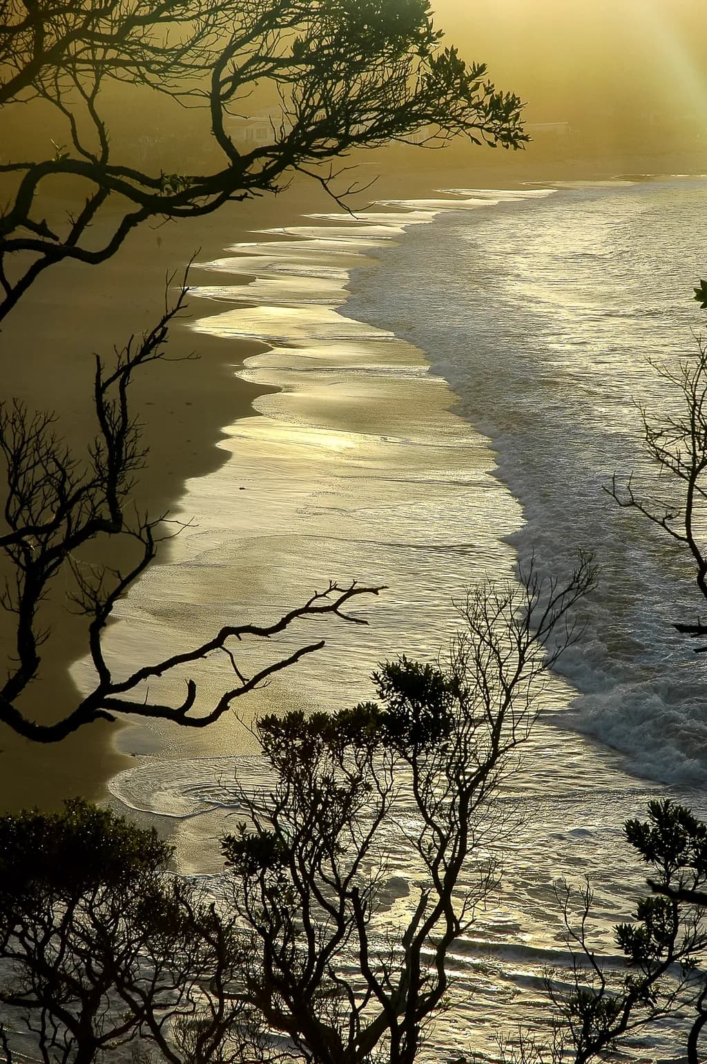 Golden Shoreline