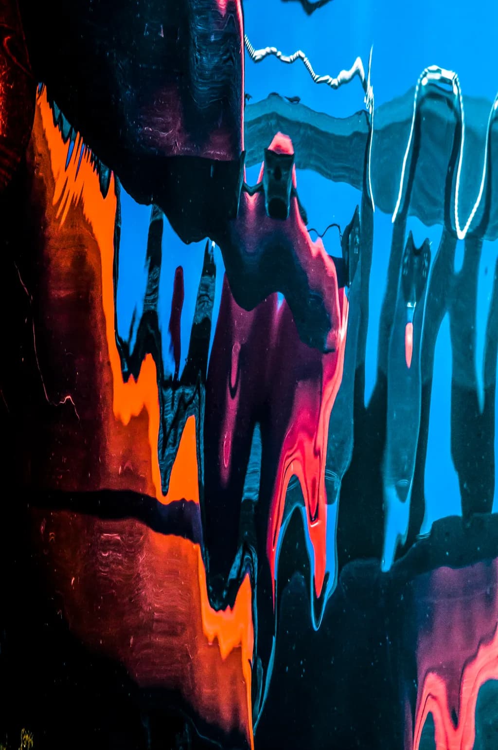 Reflections of Color