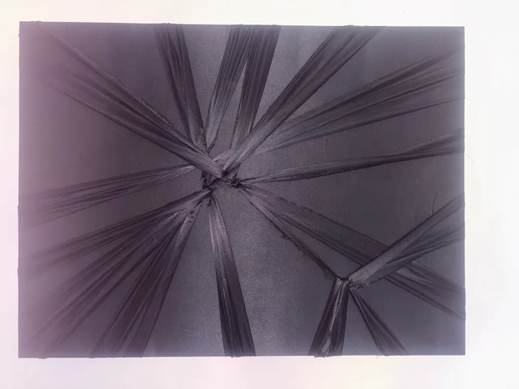 Fractured Elegance: A Dance of Shadows and Textures in Black Artistry