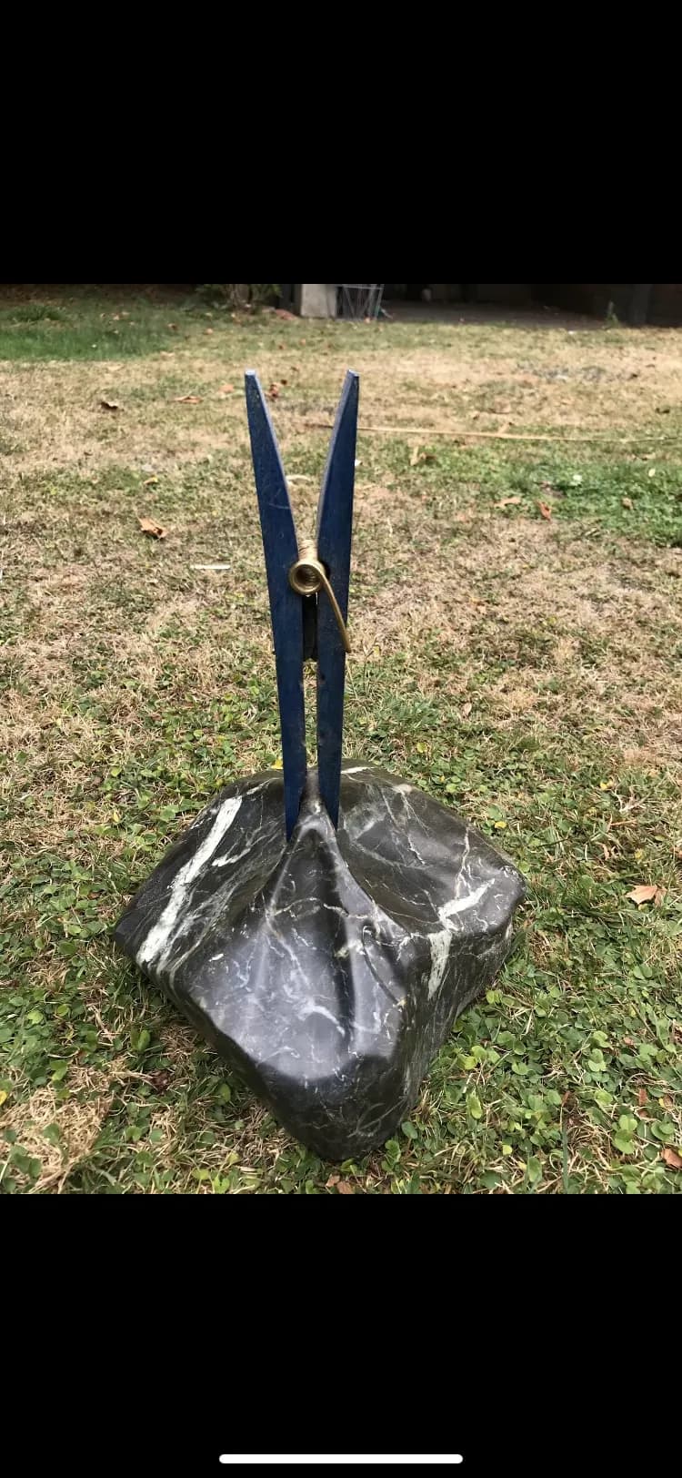 Scissors in Stone: A Fusion of Art and Nature