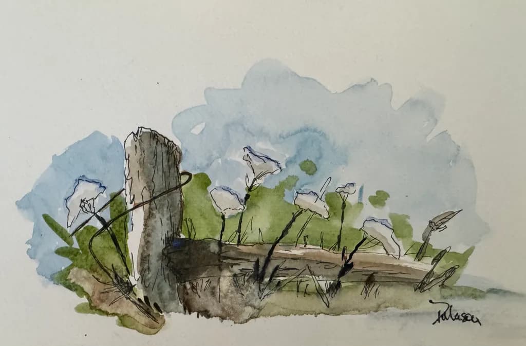 Whispers of Nature: A Watercolor Journey Through Flowers and Landscape
