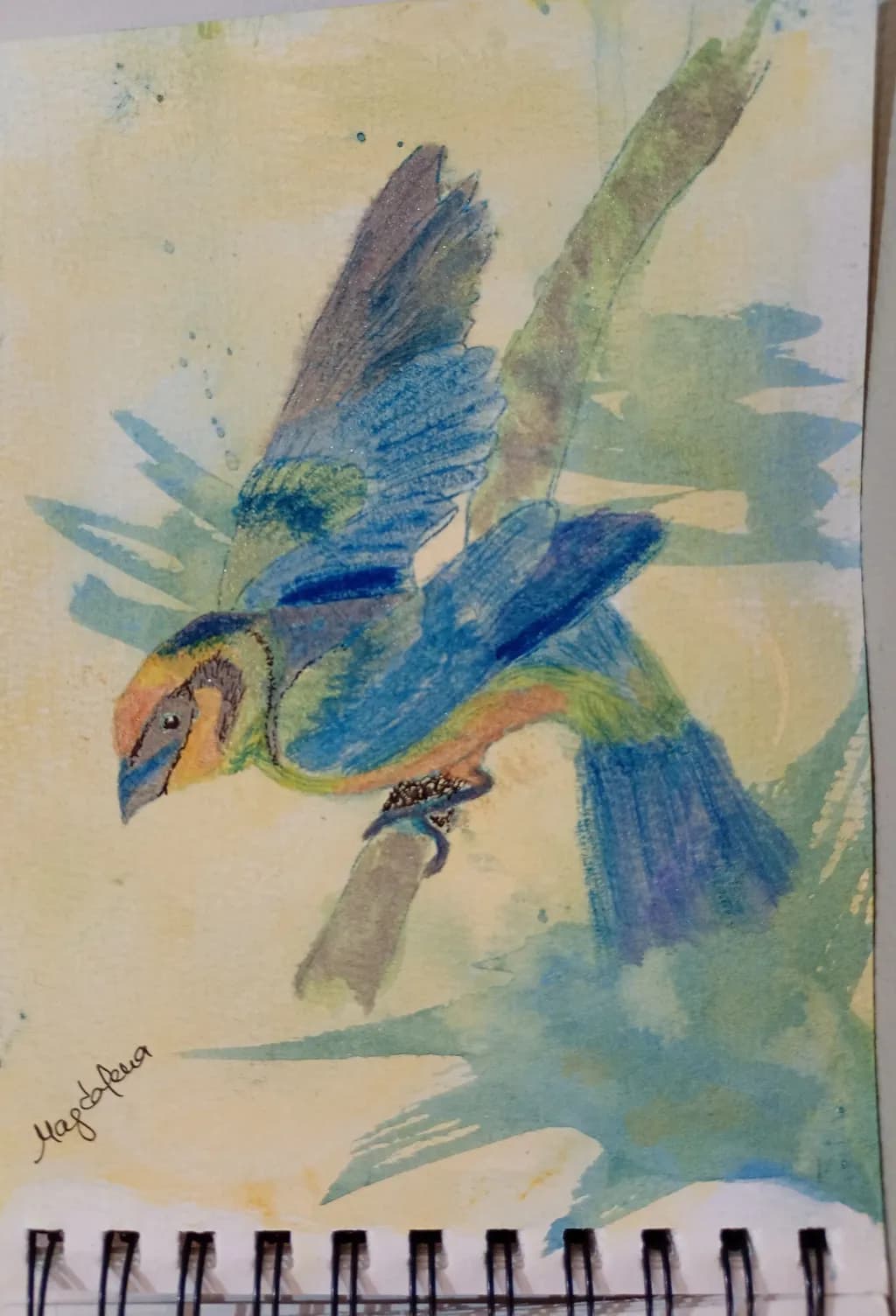 Tangara bird' - Day 4 - watercolor jungle Marathon