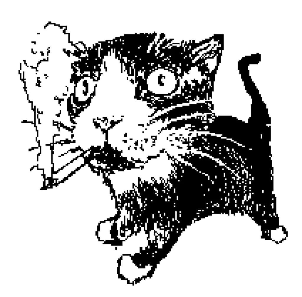 Badass kitty