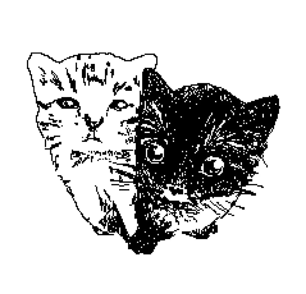 Whiskered Companions: A Dual Portrait of Feline Charm