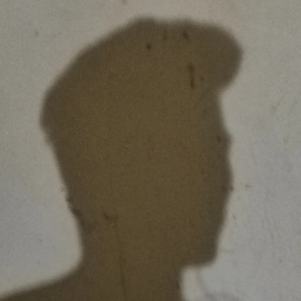 Shadowed Reflections: The Essence of Identity in Silhouette