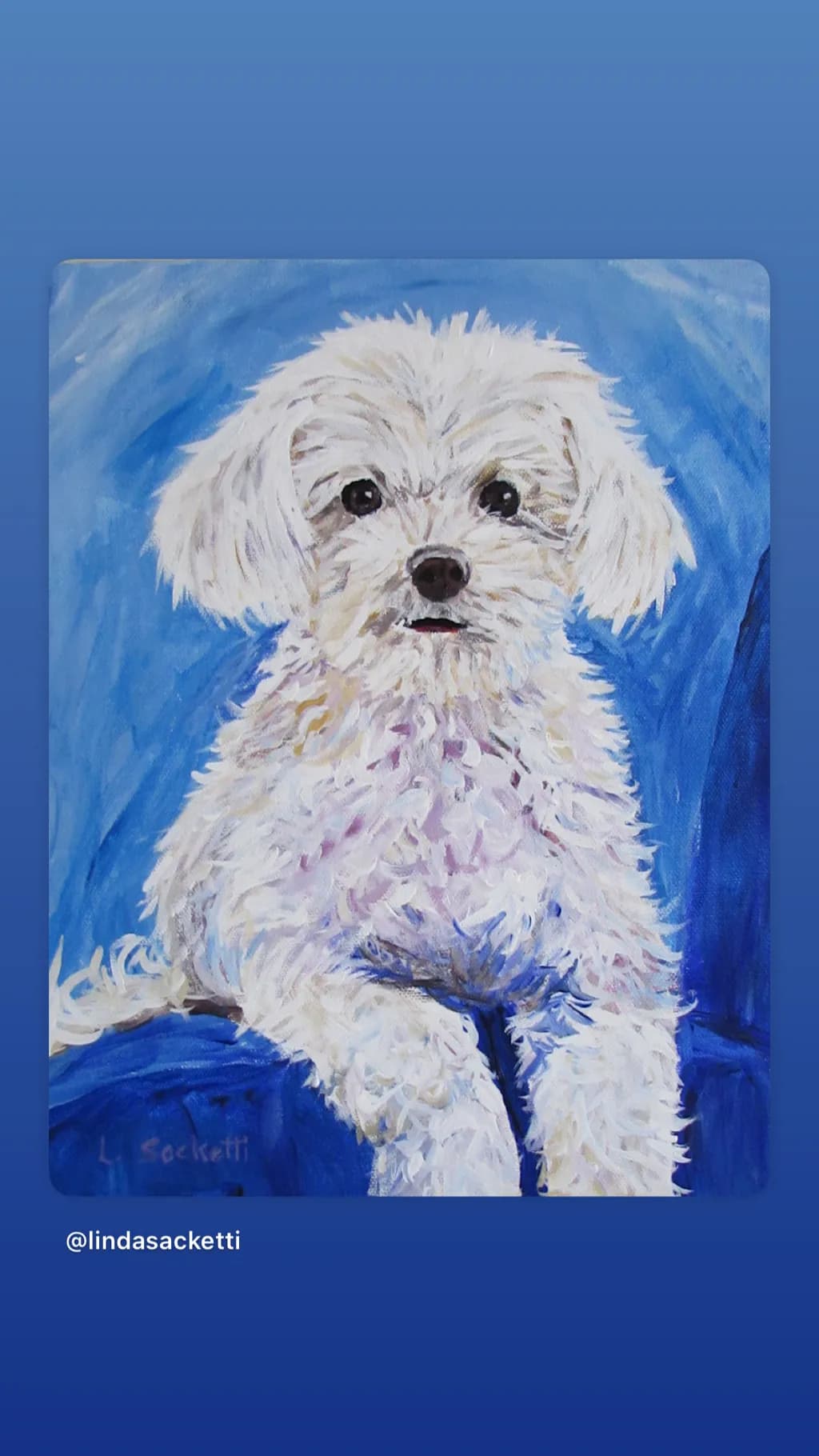 Fluffy Companion